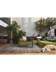 hoover-traino-hp120pet-011-1.jpg 2