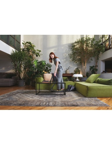hoover-traino-hp120pet-011-4.jpg