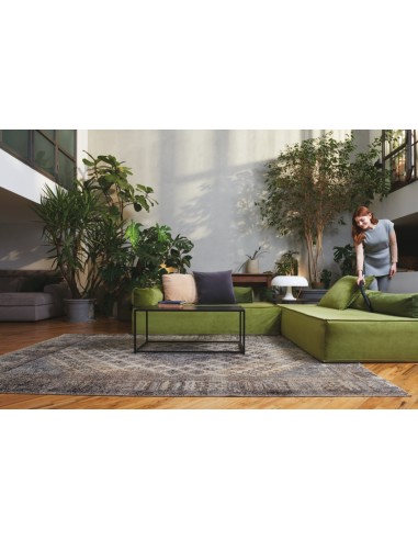 hoover-traino-hp120pet-011-20.jpg