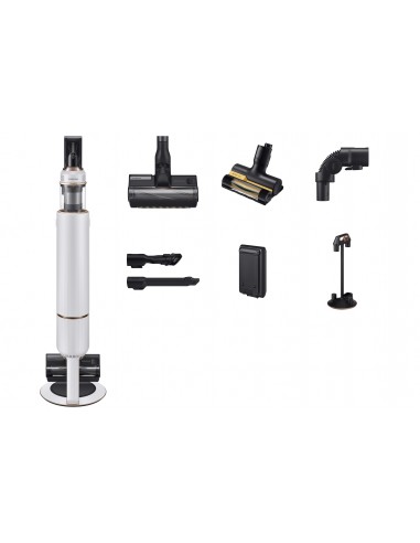 samsung-scopa-ricar-vs20b95823w-wa-1.jpg