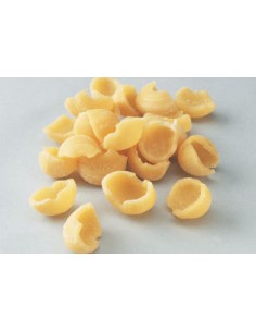 trafila-per-orecchiette-at910-12-at910-12-1.jpg 2