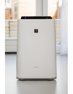 purificatore-aria-kcd50euw-1.jpg 2