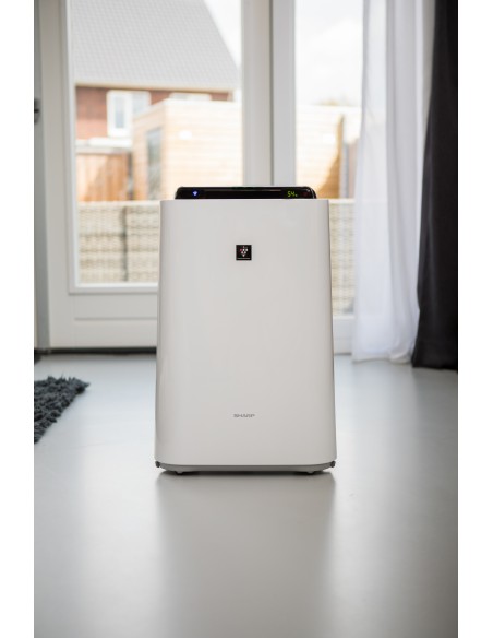 purificatore-aria-kcd50euw-8.jpg