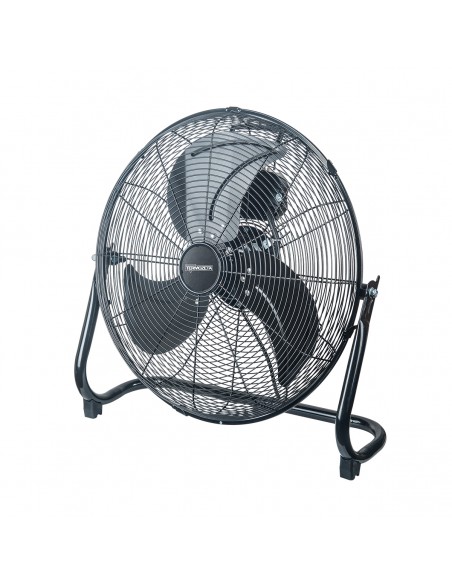 bassotto-xl-1.jpg