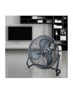 bassotto-xl-plus-1.jpg 2