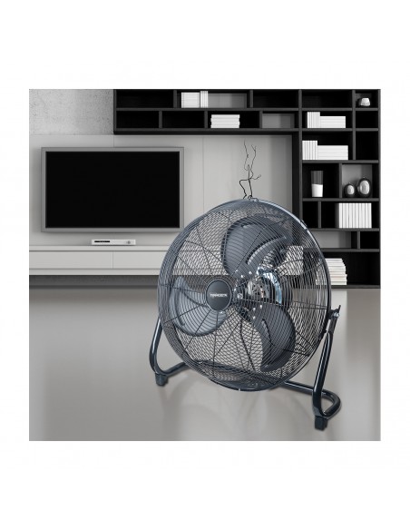 bassotto-xl-plus-2.jpg