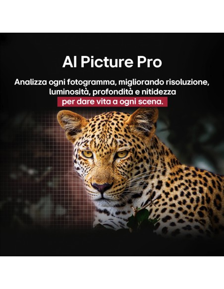 lg-oled-55b56-uhd-55-processore-a8-gen2-con-ai-dolby-vision-dolby-atmos-5.jpg