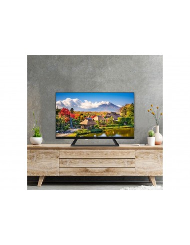 tvc-led-24-hd-3hdmi-2-usb-hotel-mode-tivusat-12-v-5.jpg