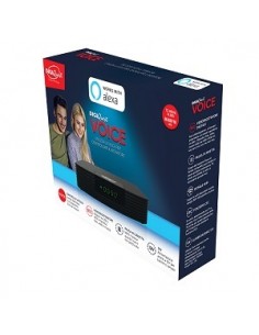 decoder-digiguest-voice-alexa-1.jpg 2