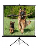 TP NEW JUNIOR 240X240
