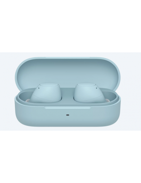 cuffie-in-ear-true-wrls-blu-3.jpg