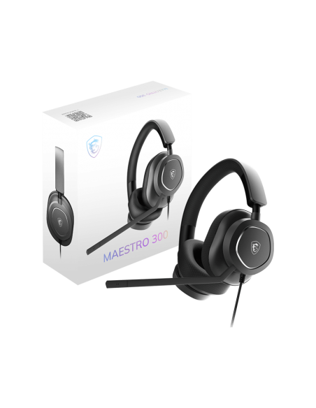maestro-300-5.jpg