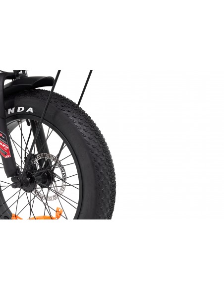 e-bike-sonoran-5.jpg