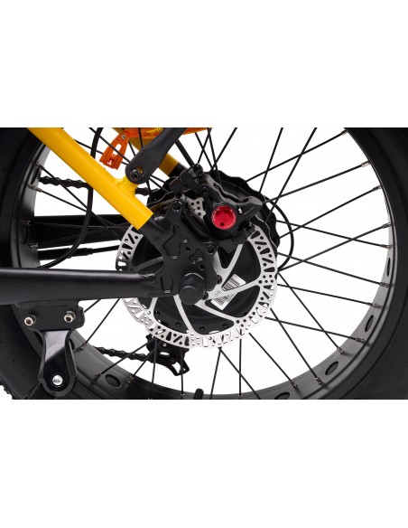 e-bike-sonoran-12.jpg