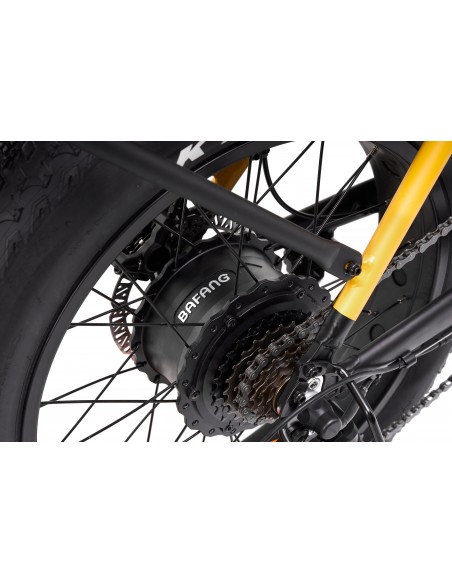 e-bike-sonoran-17.jpg
