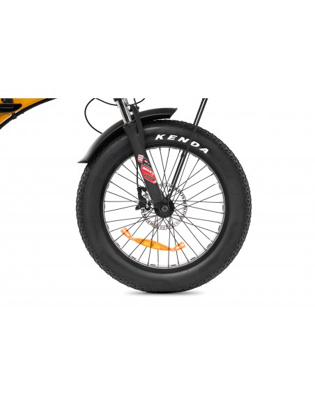 e-bike-sonoran-21.jpg