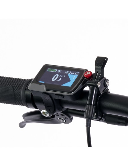 legnano-e-bike-mtb-fuoco-marine-45-verde-ruote-29-batt-36v-10ah-motore-centrale-250w-taglia-45-11.jpg