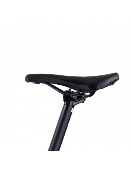 legnano-e-bike-mtb-fuoco-mamba-50-nero-ruote-29-batt-36v-10ah-motore-centrale-250w-taglia-50-24.jpg