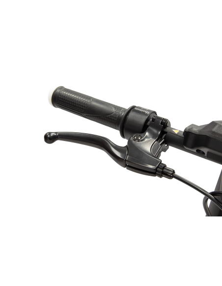 ducati-e-scooter-pro-ii-evo-adv-saf-14.jpg
