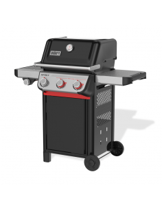 spirit-e-335-lp-1.jpg 2