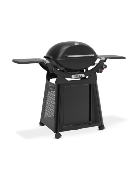 weber-q-3200n-1501135-4.jpg