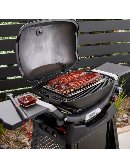 weber-q-3200n-1501135-5.jpg