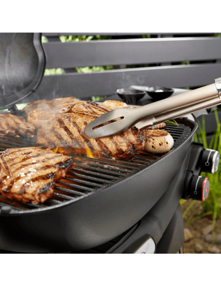 weber-q-3200n-1501135-6.jpg