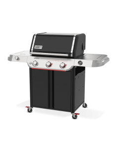 genesis-e-335-1501241-1.jpg 2