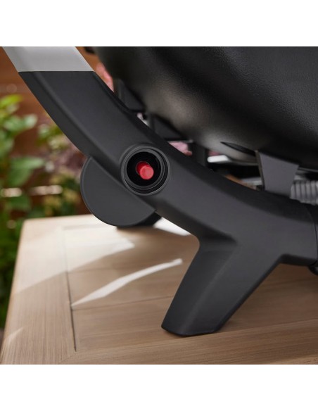 weber-q-2100n-1501082-6.jpg