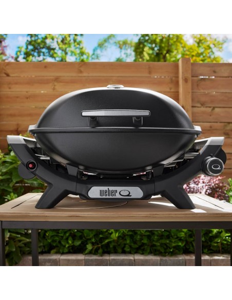 weber-q-2100n-1501082-8.jpg