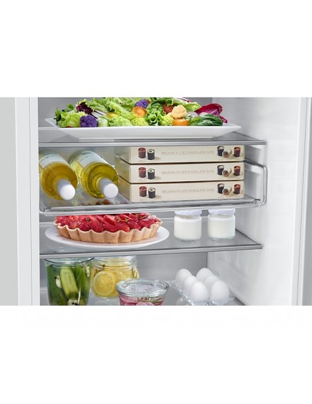 frigo-inc-combi-298lt-h194-nf-e-twincooling-metal-15.jpg