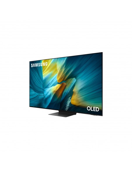 samsung-oled-qe55s95fatxzt55-one-connectprocessore-nq4-3-genschermo-a-3.jpg