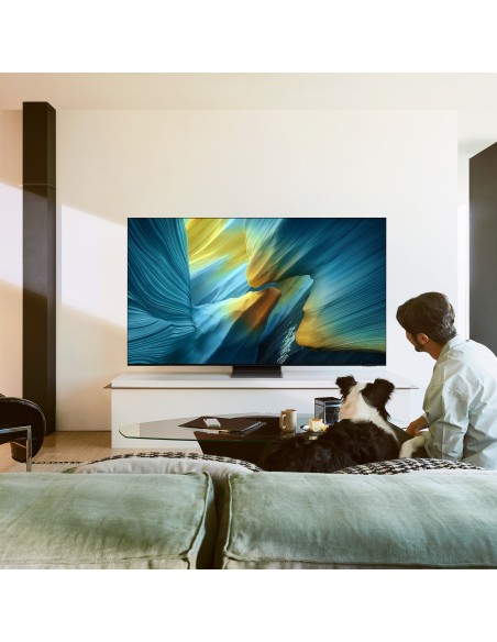 samsung-oled-qe55s95fatxzt55-one-connectprocessore-nq4-3-genschermo-a-11.jpg