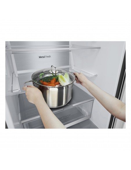 lg-frigo-gbb72mcvbn-nero-60cm-b-384lt-lineare-inverter-lxaxp595x2030x675totalnofrostportereversibili-10.jpg