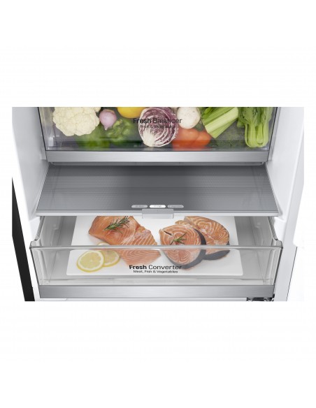 lg-frigo-gbb72mcvbn-nero-60cm-b-384lt-lineare-inverter-lxaxp595x2030x675totalnofrostportereversibili-17.jpg