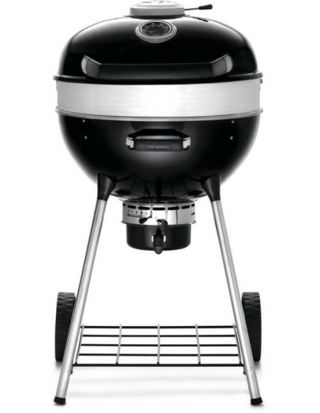 barbecue-pro22k-leg-3-carbonella-1.jpg