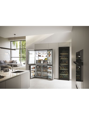 frigo-sbs-4p-601lt-h178-l91-tnf-inox-multiflow-dispenser-25.jpg