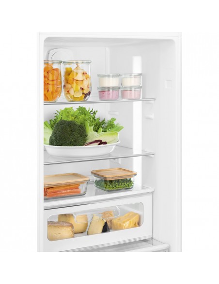 frigo-dx-red-11.jpg