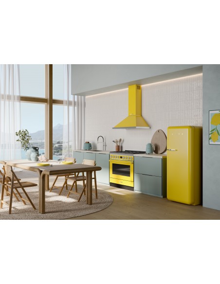 frigo-dx-yellow-10.jpg