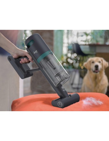 hoover-ricaricab-hfg10p-011-13.jpg