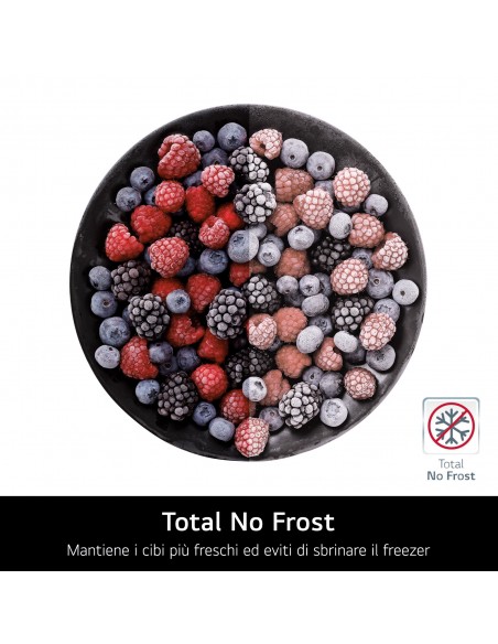 lg-frigo-gsle81pybc-inoxc407lt-tanica-h-p-l179x735x62icedrink-dispensertanica-interna-4lt-8.jpg