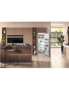 frigo-inc-2p-218lt-h144-traino-1.jpg 2