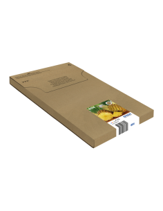 604-pineapple-multipack-4-colours-easymail-ink-1.jpg 2