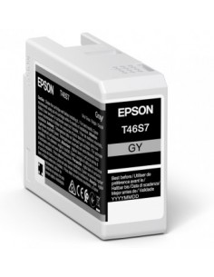 singlepack-gray-ultrachrome-pro-10-ink-25ml-1.jpg