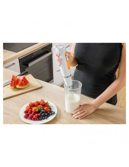 mixer-immersione-600w-bianco-16.jpg