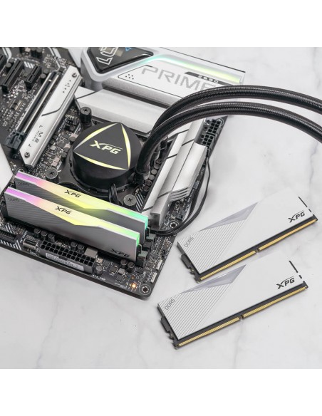 adata-ram-gaming-lancer-rgb-16gb-ddr5-7200mhz-14v-white-6.jpg