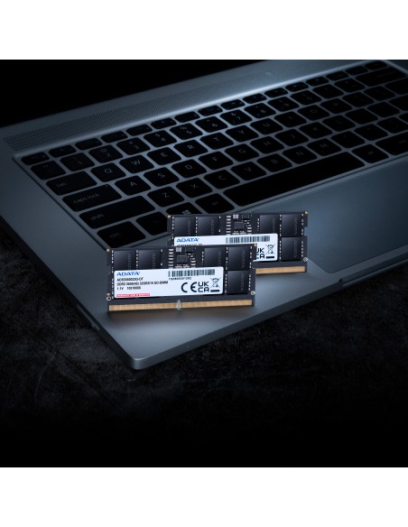 adata-ram-so-dimm-24gb-ddr5-5600mhz-11v-3.jpg