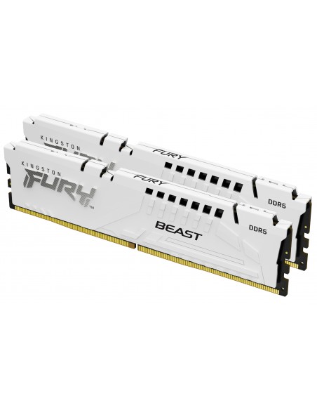 32g-6000-ddr5-k2-f-beast-white-expo-1.jpg