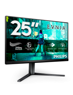 monitor-245-300hz-reg-alt-gaming-1.jpg 2