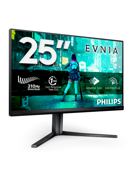 monitor-245-300hz-reg-alt-gaming-2.jpg